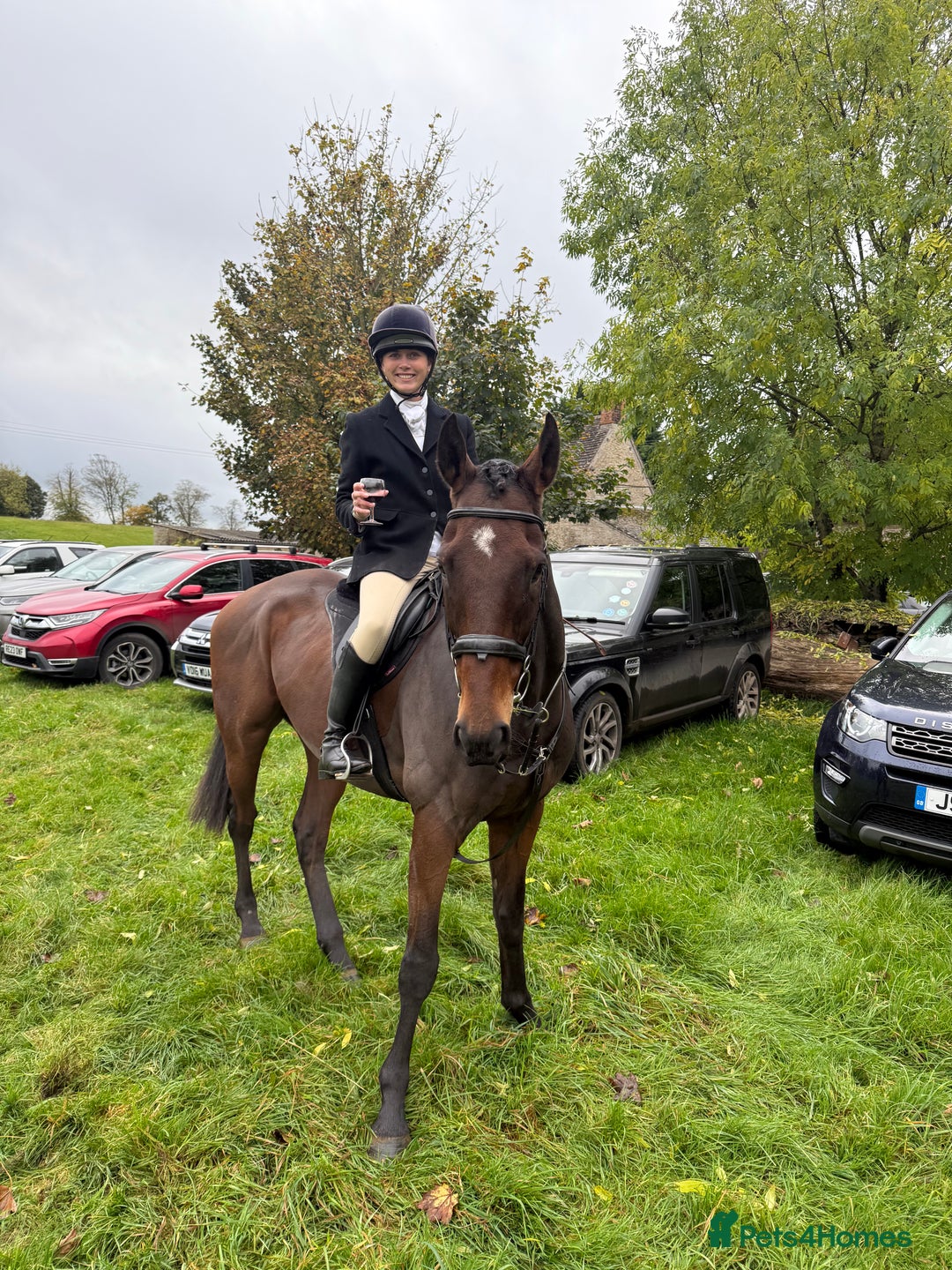 English Thoroughbred horses for sale: Smart hunter for sale - perfect mother/daughter - Image 11