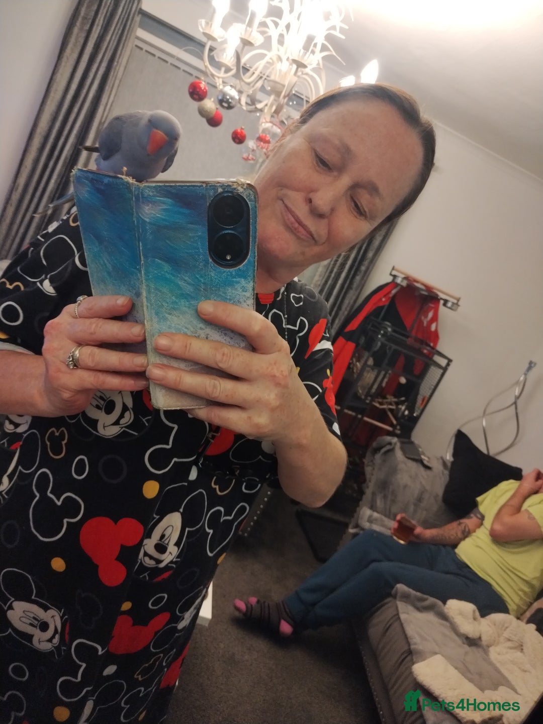 Ringnecks birds for sale: Ringneck parrot - Advert 5