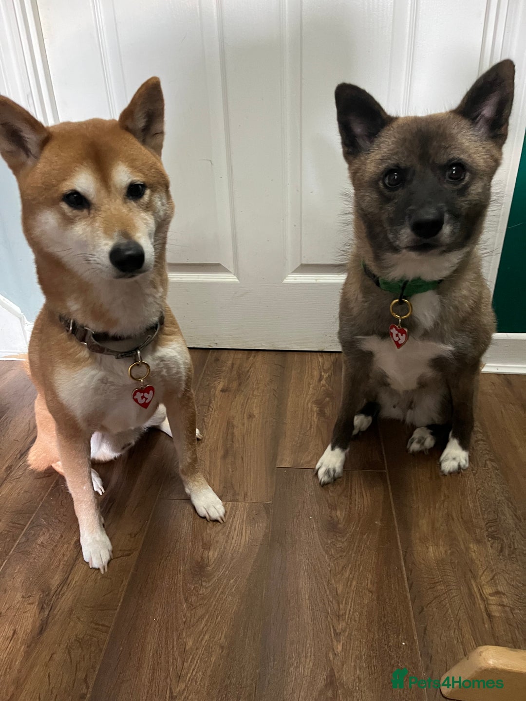 Gallery Image {{count}}