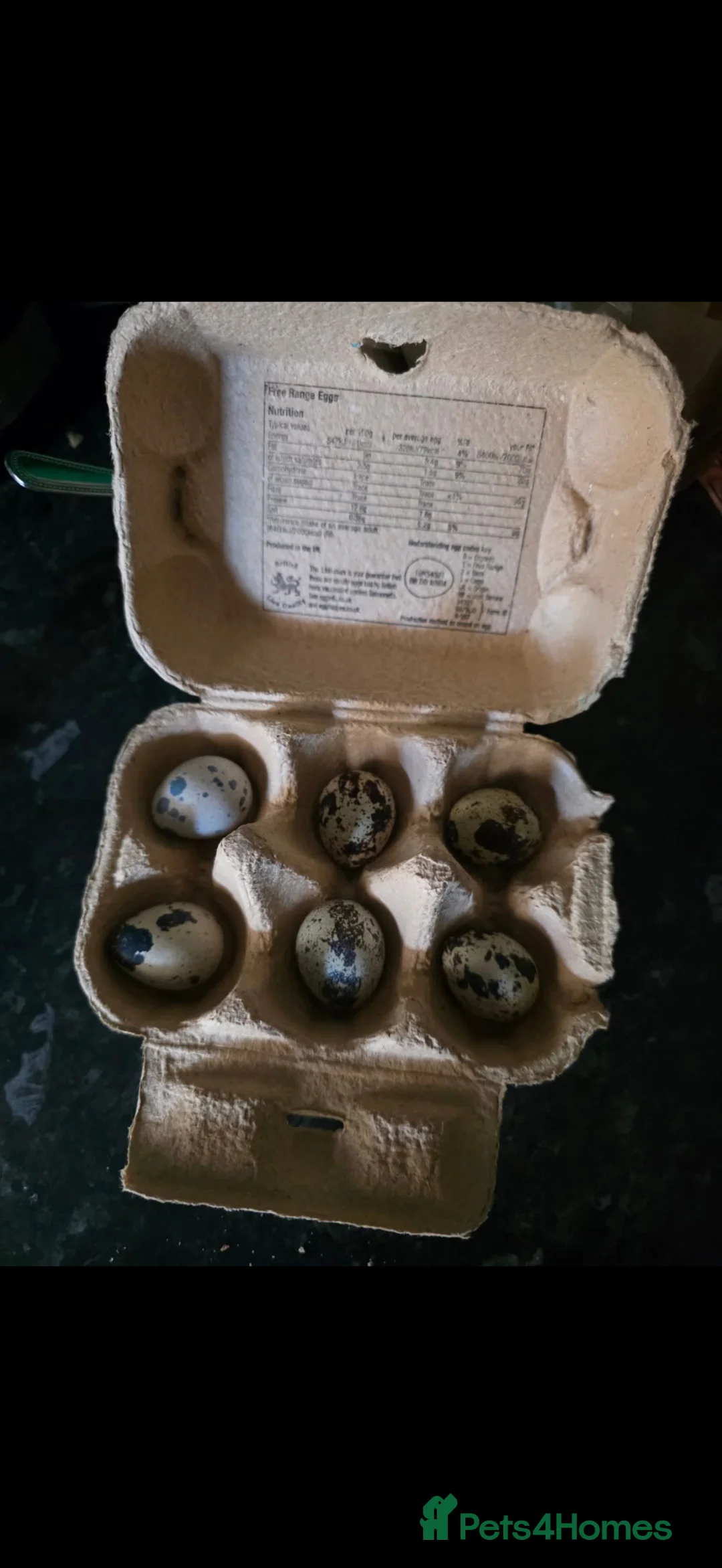Quail poultry for sale: Quail eggs for sale - Advert 4
