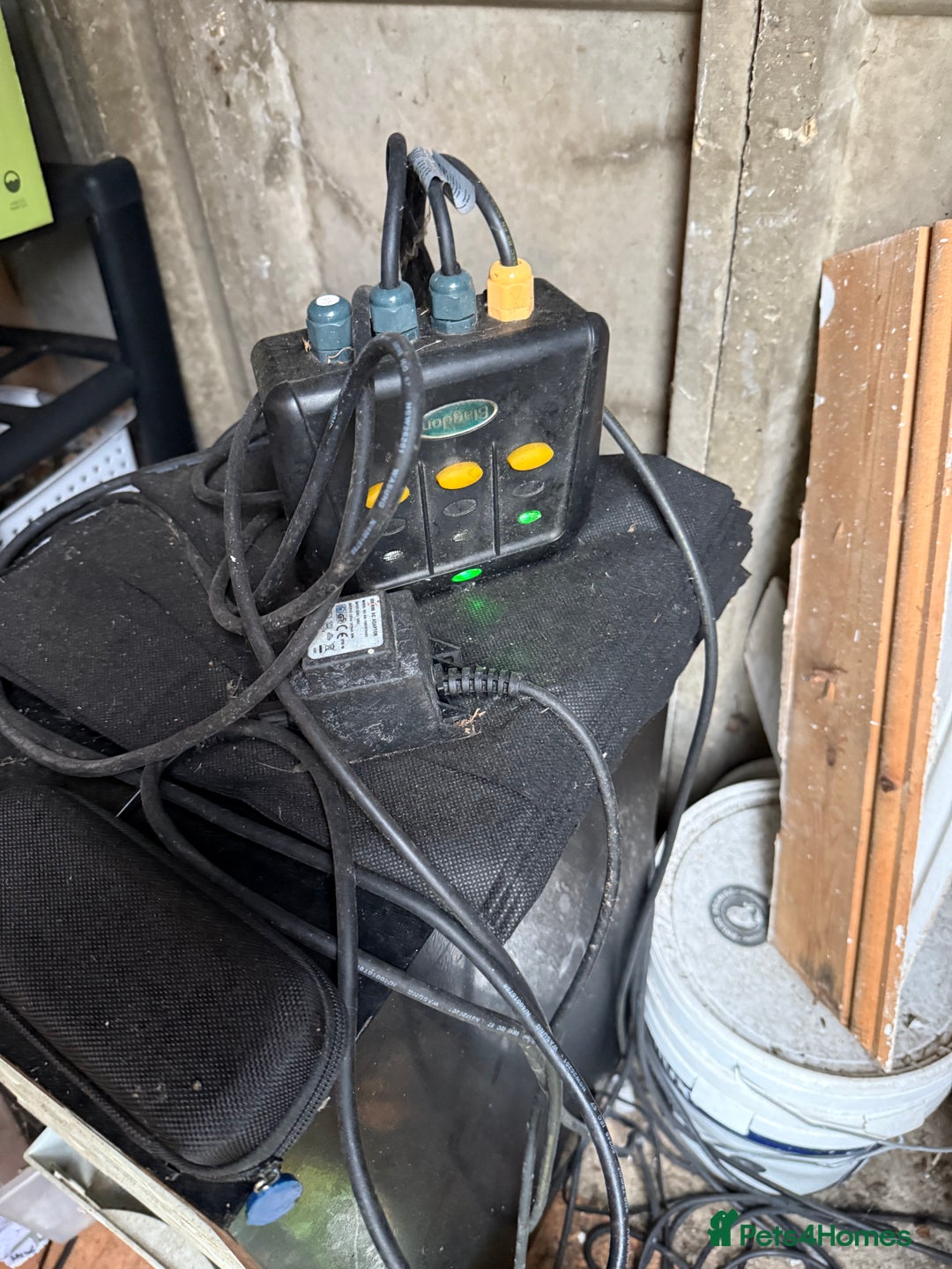 Koi Carp fish for sale: 3 Koi Carps with Blagdon Affinity Corner Grand - Advert 16