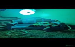 Tortoise reptiles for sale: Tortoise called Turbo - Advert 8