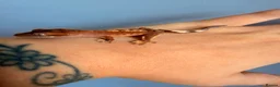 Gecko reptiles for sale: Baby crested gecko’s  - Advert 5