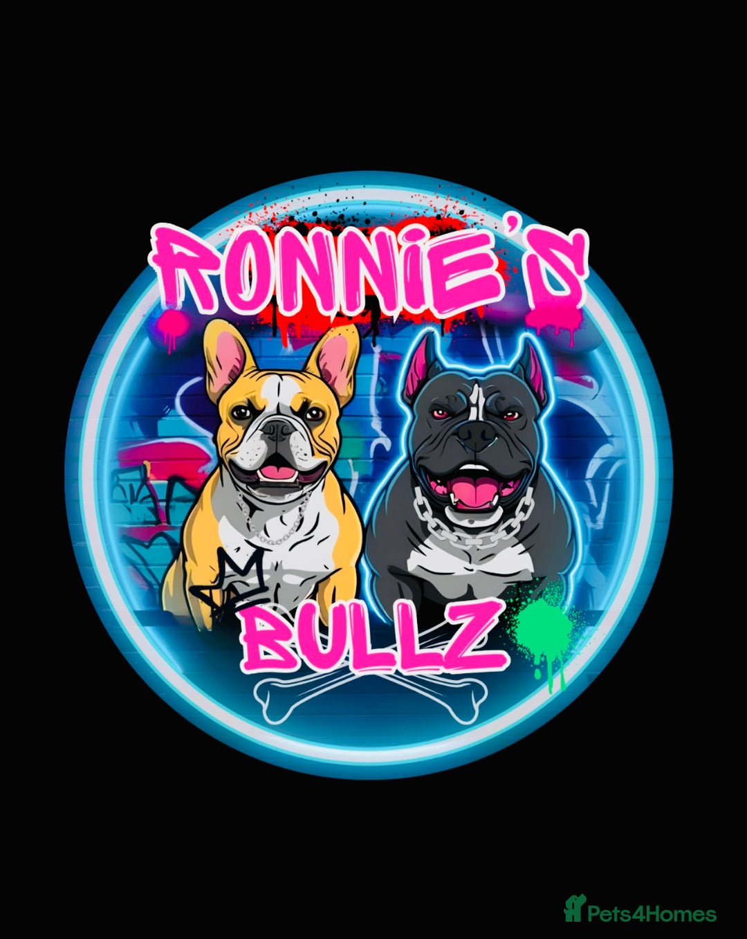 French Bulldog dogs for sale: French bulldog puppies  - Image 7