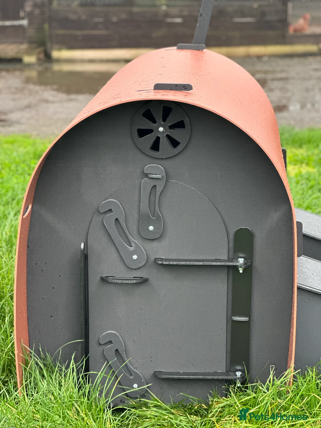 Mixed Breed poultry for sale: Hen House - Recycled - 6 Large Hens - Advert 3