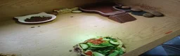 Tortoise reptiles for sale: 2 lovely tourtoises forsale - Advert 4