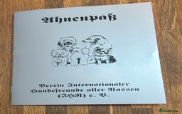 Mixed Breed dogs for sale: Colour Yorkshire Terrier   , DNA tested parents  - Image 14