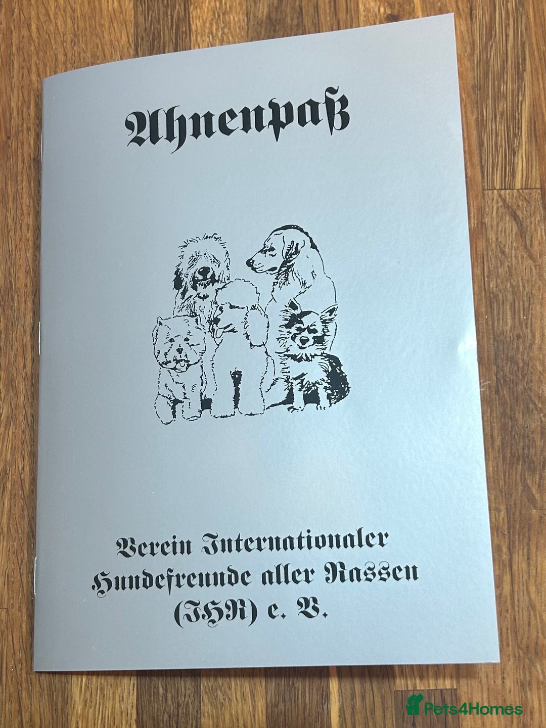 Mixed Breed dogs for sale: Colour Yorkshire Terrier   , DNA tested parents  - Image 14