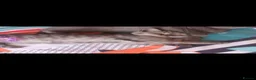 British Shorthair cats for sale: 4 British short-hair kittens  - Advert 2