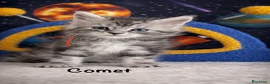 COMET