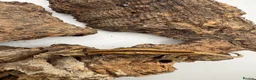 Gecko reptiles for sale: Baby gargoyle gecko mix morphs  - Advert 13