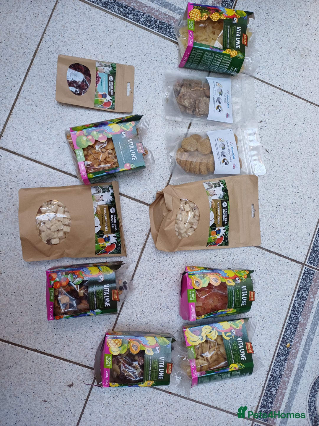 Macaws birds for sale: Blue & Gold Macaw For Sale - Image 39