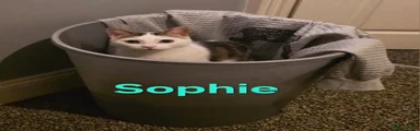 Sophie