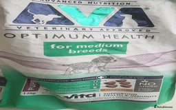 Labradoodle dogs for sale: Labradoodle puppies - Image 14