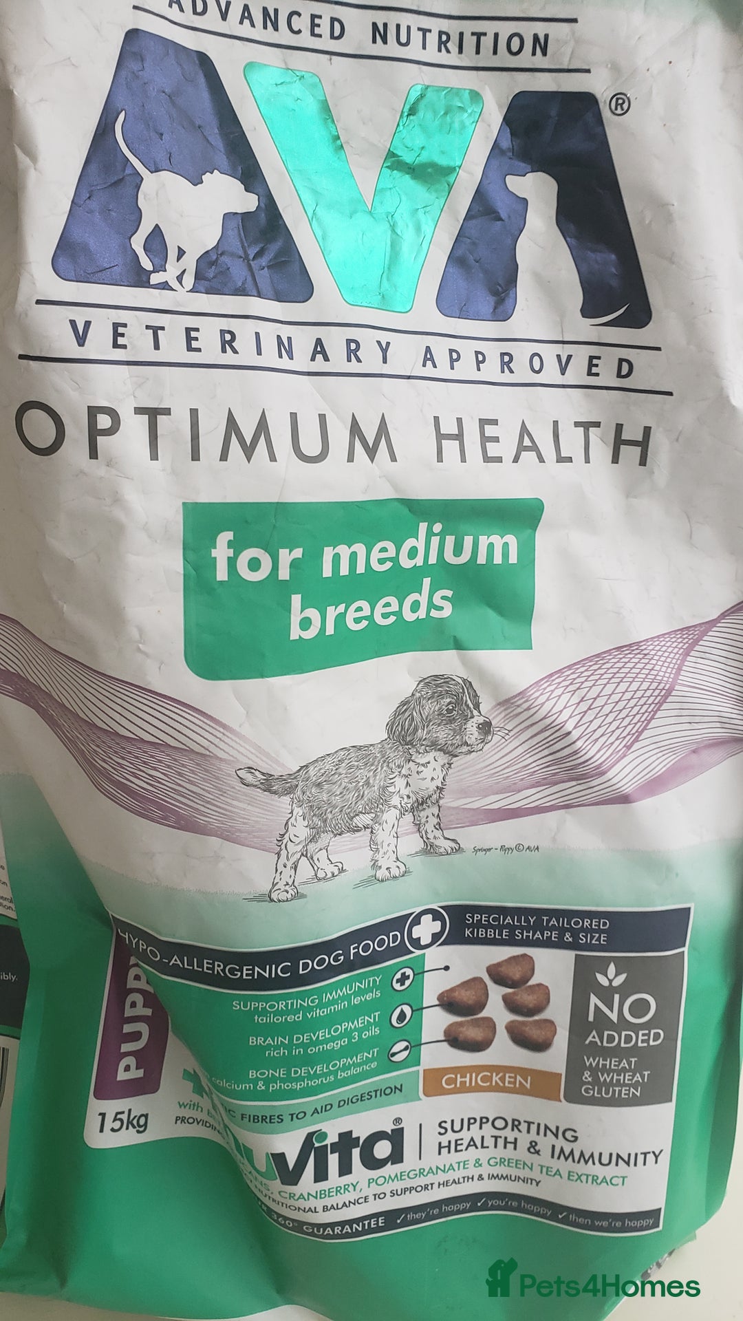 Labradoodle dogs for sale: Labradoodle puppies - Image 14