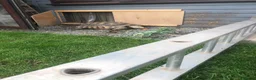Tortoise reptiles for sale: Two sulcata tortoises - Advert 5