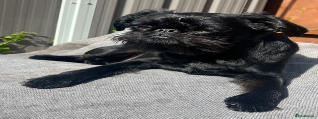Tilly