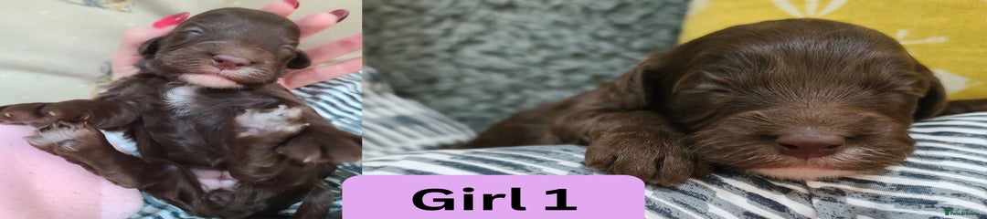 Girl 1