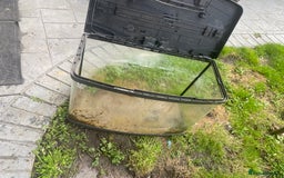 Bettas fish for sale: 2 tanks + fish - Image 5