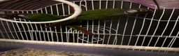 Conures birds for sale: 3 Proven Breeding Pairs of Conures With DNA Certs - Advert 2