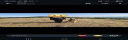 German Shepherd dogs for sale: DDR German Shepherds  - Advert 4