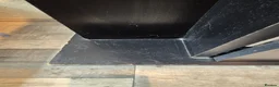 Goldfish fish for sale: Large fishtank for sale - Advert 7