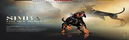 Dobermann dogs for sale: Dobermann 2 boys 2 girls  - Advert 2