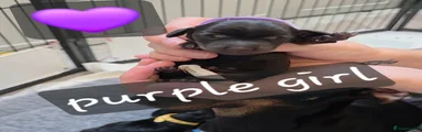 Purple Girl