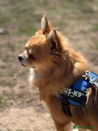 Gallery Image {{count}}