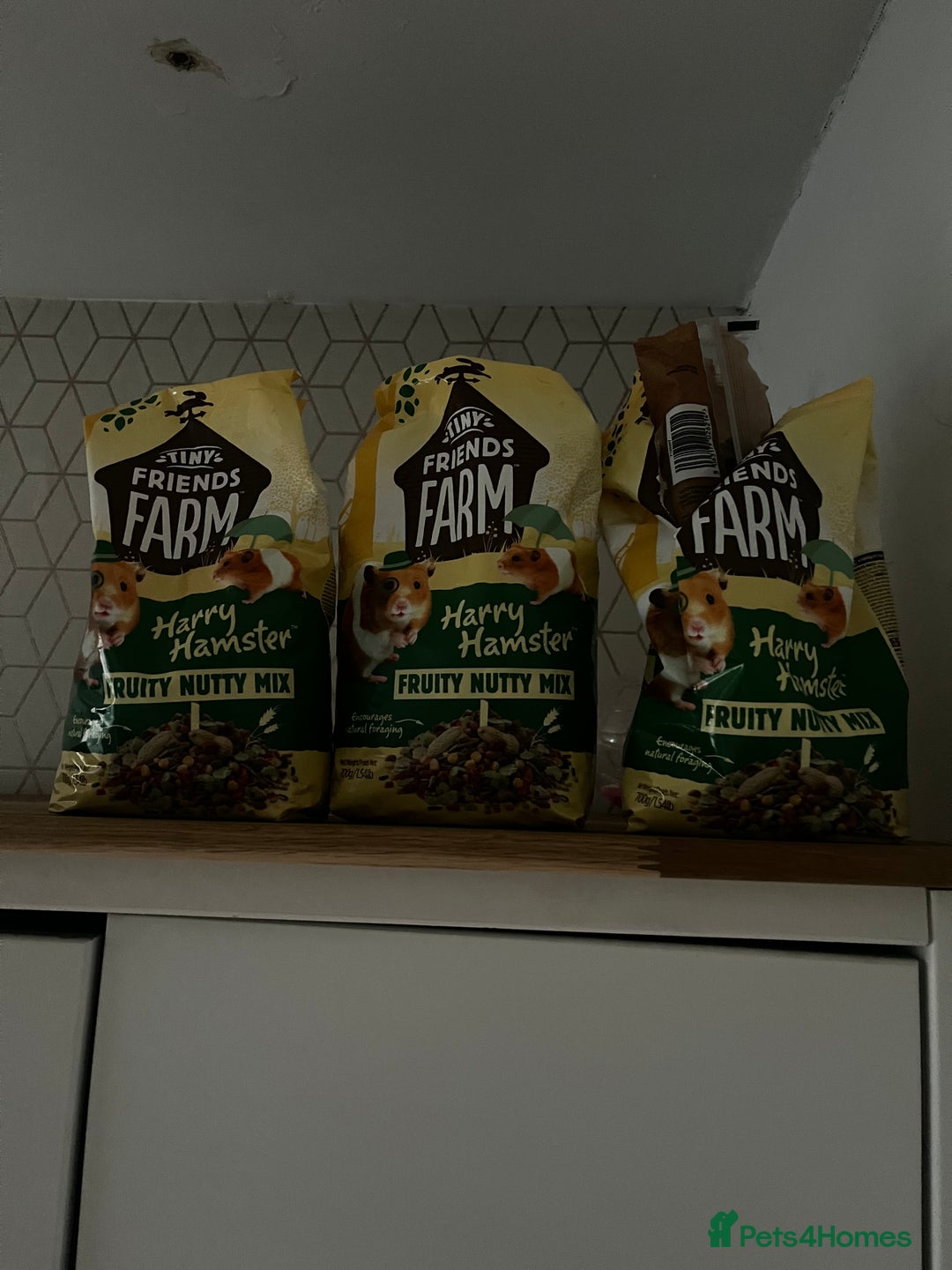 Hamster rodents for sale: Cute hamster needs forever home 🏠  - Advert 6