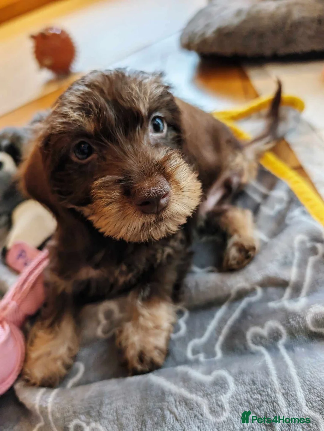 Gallery Image {{count}}