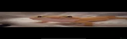 Leopard Gecko reptiles for sale: Male leopard gecko with viv in Tewkesbury - Advert 3