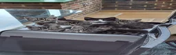 Mixed Breed cats for sale: Beautiful Tame Friendly Kittens for sale - Advert 8