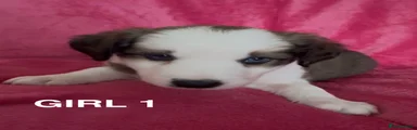Girl 1