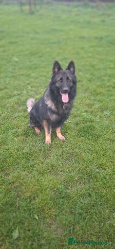 Gallery Image {{count}}