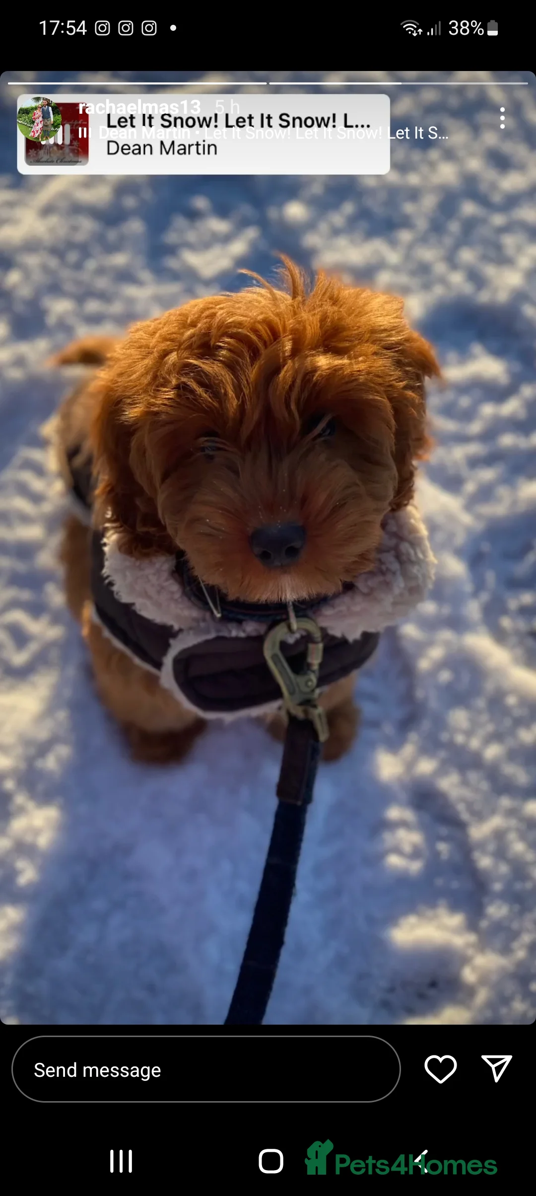 Gallery Image {{count}}