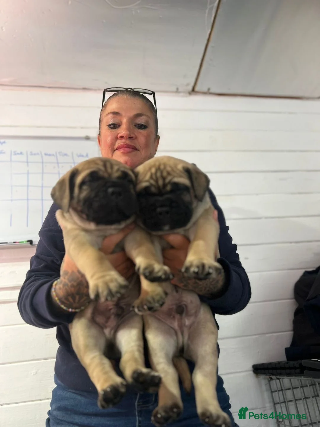 Gallery Image {{count}}