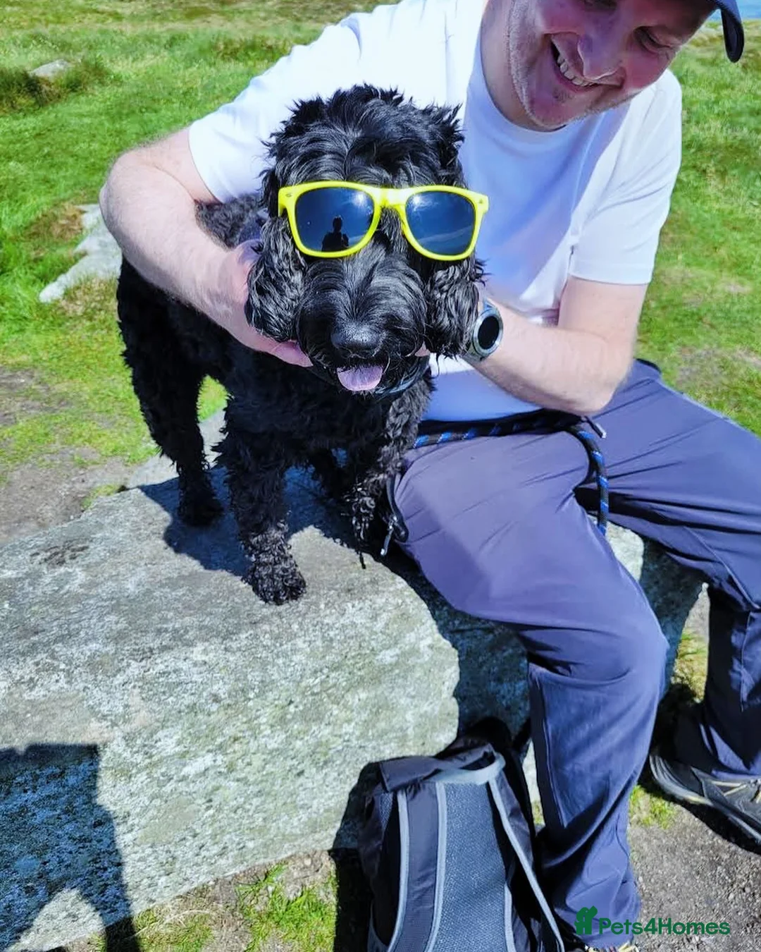 Gallery Image {{count}}