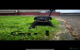 Labrador Retriever dogs for sale: KC reg labs- working bloodline  in Lanark - Image 7