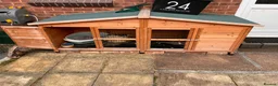 Mixed Breed rabbits for sale: Burt and Ernie  in Frome - Advert 3