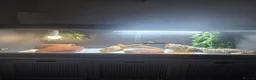 Bearded Dragon reptiles for sale: Bearded dragon,Tank and accessories  in Wallasey - Advert 3