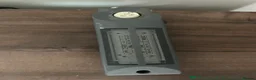 Leopard Gecko reptiles for sale: Leopard gecko and complete set up - Advert 7