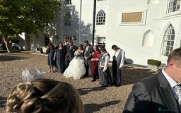 Mixed Breed dogs for sale: Chunky boys - Advert 12