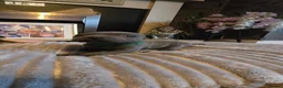 Staffordshire Bull Terrier dogs for sale: 5 beautifully staffy puppies kc registerd  - Advert 4