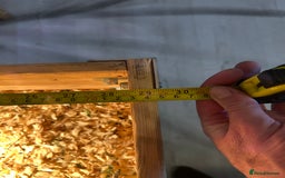 Tortoise reptiles for sale: Tortoise and full set up for sale - Image 5