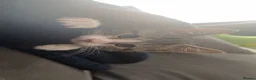 British Shorthair cats for sale: Cat & Kitten - Advert 2