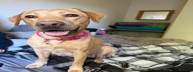 Coda