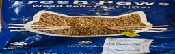Mixed Breed cats for sale: Male and Female Adult - Advert 11