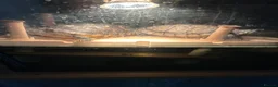 Terrapin reptiles for sale: terrapins and tank - Advert 2