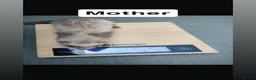 Ferret rodents for sale: True micro ferret kits  in Burton-on-Trent - Advert 6